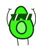 avocado